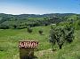 1184 Camping Podere Sei Poorte